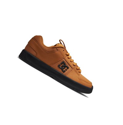 DC Lynx Zero Zimne Cizmy Panske Hnede Čierne | GU8523017
